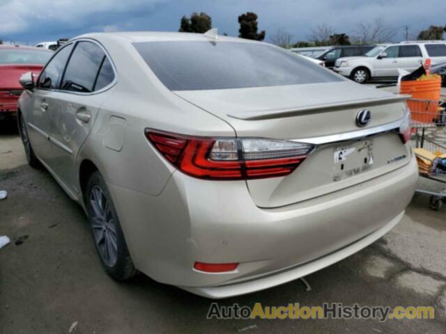 LEXUS ES300 300H, JTHBW1GG5G2131678