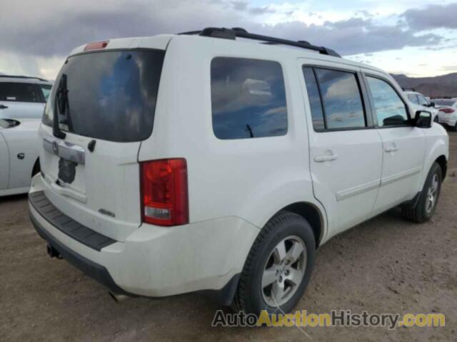 HONDA PILOT EXL, 5FNYF4H53BB024449