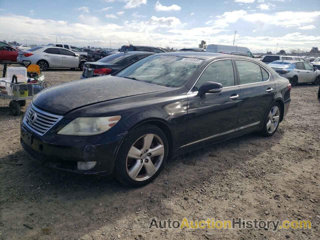 LEXUS LS460 460L, JTHGL5EF3B5043865