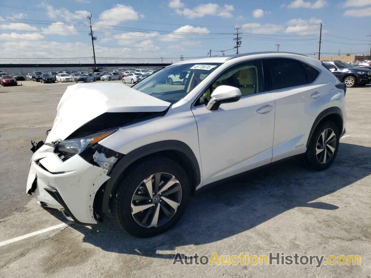 LEXUS NX 300H, JTJGJRDZ6L5008083