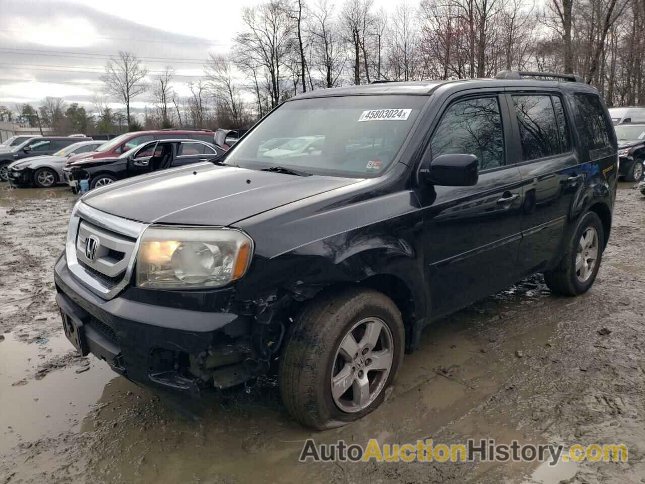 HONDA PILOT EXL, 5FNYF4H63BB017218