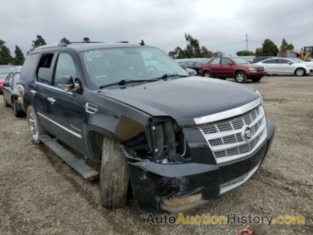 CADILLAC ESCALADE PLATINUM, 1GYS4DEF0ER102025