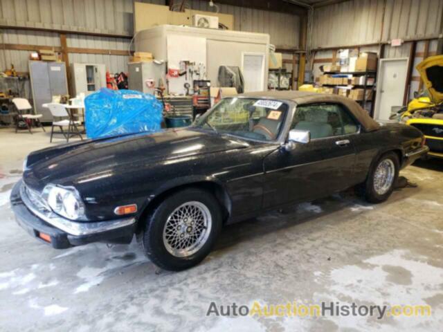 JAGUAR XJS, SAJNV4843KC161953