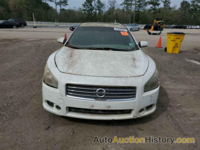 NISSAN MAXIMA S, 1N4AA5AP1AC816456