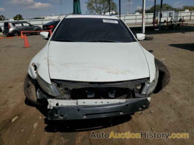 HONDA ACCORD EXL, 1HGCS2B81BA001615