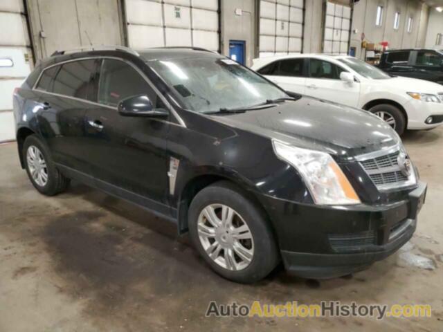 CADILLAC SRX LUXURY COLLECTION, 3GYFNDEY0AS651344