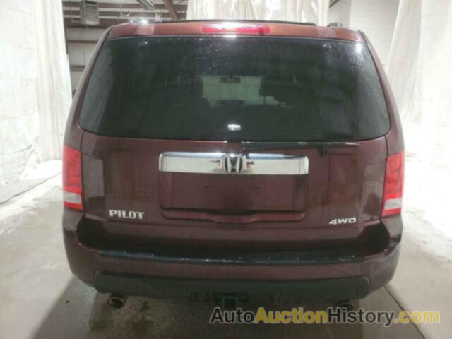 HONDA PILOT EXL, 5FNYF4H65BB002039