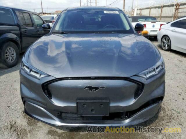 FORD MUSTANG PREMIUM, 3FMTK3R74MMA38841