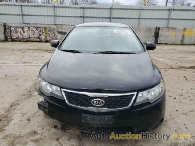 KIA FORTE EX, KNAFU4A24C5496608