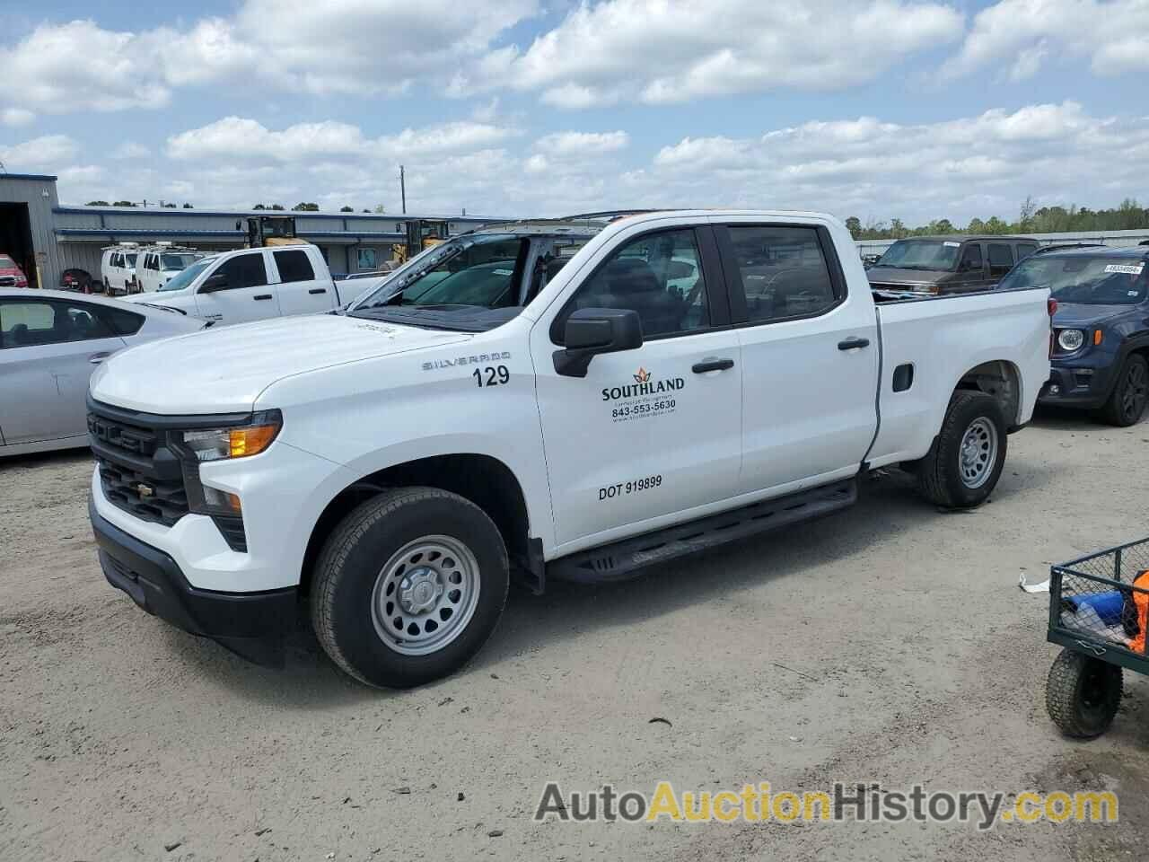 CHEVROLET SILVERADO C1500, 1GCPAAEK9NZ608694