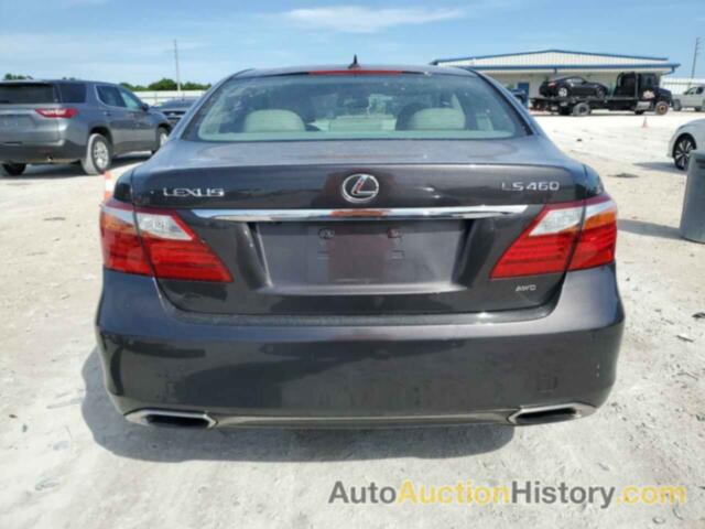 LEXUS LS460 460, JTHCL5EF2A5006173