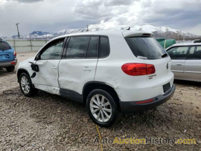 VOLKSWAGEN TIGUAN LIM, WVGBV7AXXJK000572