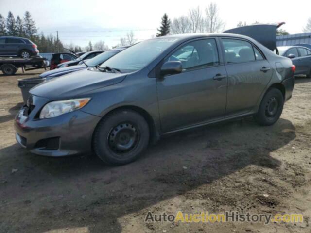 TOYOTA COROLLA BASE, 2T1BU4EEXAC245680