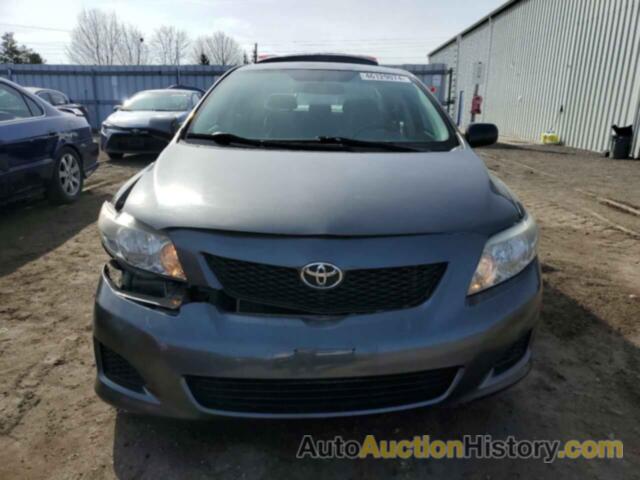 TOYOTA COROLLA BASE, 2T1BU4EEXAC245680