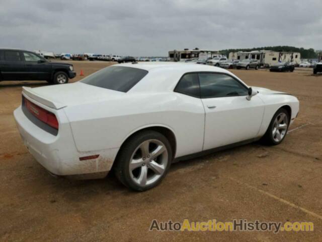 DODGE CHALLENGER SXT, 2C3CDYAG9EH160879