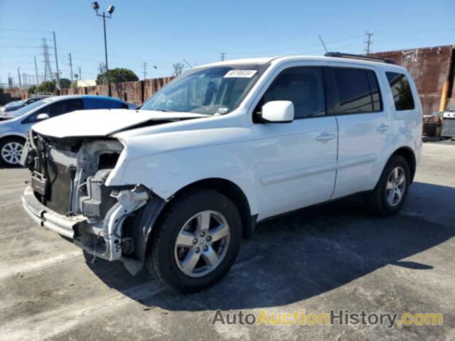 HONDA PILOT EXL, 5FNYF4H55BB025652