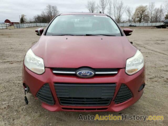 FORD FOCUS SE, 1FADP3F23EL148842