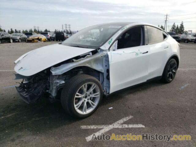 TESLA MODEL Y, 5YJYGAEE7MF283013