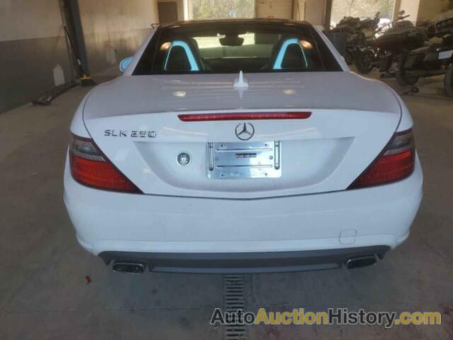 MERCEDES-BENZ SLK-CLASS 250, WDDPK4HA6FF107076