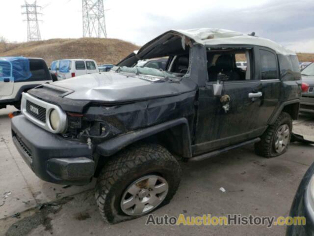 TOYOTA FJ CRUISER, JTEBU11F08K027765