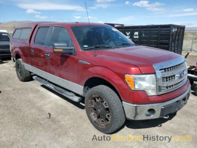 FORD F-150 SUPERCREW, 1FTFW1EF7DKD18252