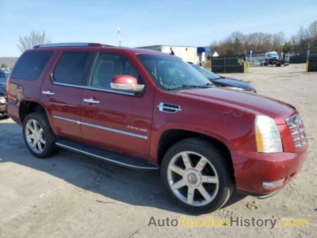 CADILLAC ESCALADE LUXURY, 1GYS4BEF8BR194226