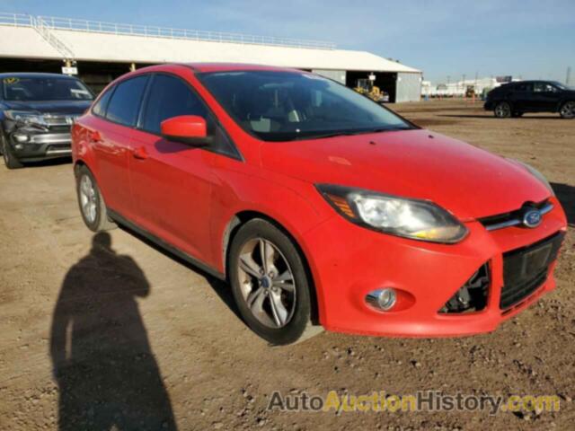 FORD FOCUS SE, 1FAHP3F2XCL262545