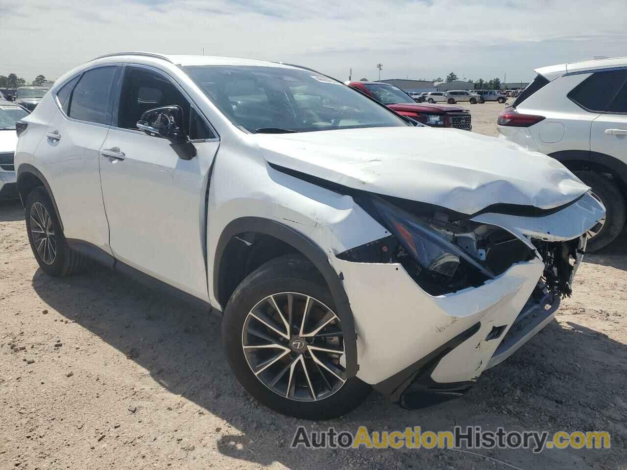 LEXUS NX 250 BAS 250 BASE, JTJADCAZ9R2008300