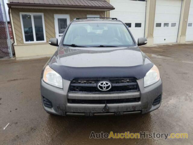 TOYOTA RAV4, 2T3BF4DV2CW229154