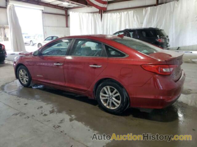 HYUNDAI SONATA SE, 5NPE24AF0GH403838