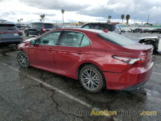 TOYOTA CAMRY XLE, 4T1F31AK5NU598573