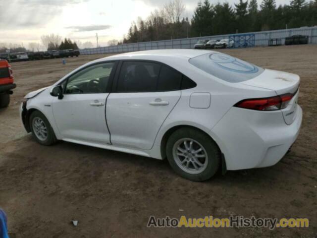 TOYOTA COROLLA LE, JTDBBRBE0LJ008307