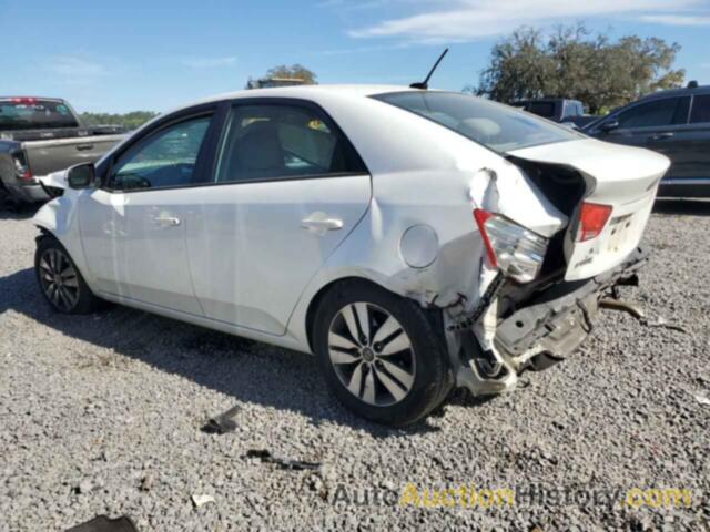 KIA FORTE EX, KNAFU4A21D5648216