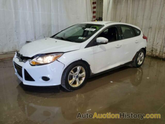 FORD FOCUS SE, 1FADP3K28EL434997