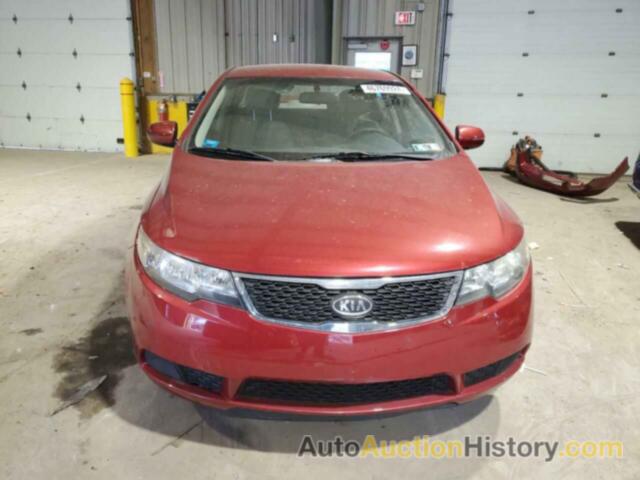 KIA FORTE EX, KNAFU4A26C5555271