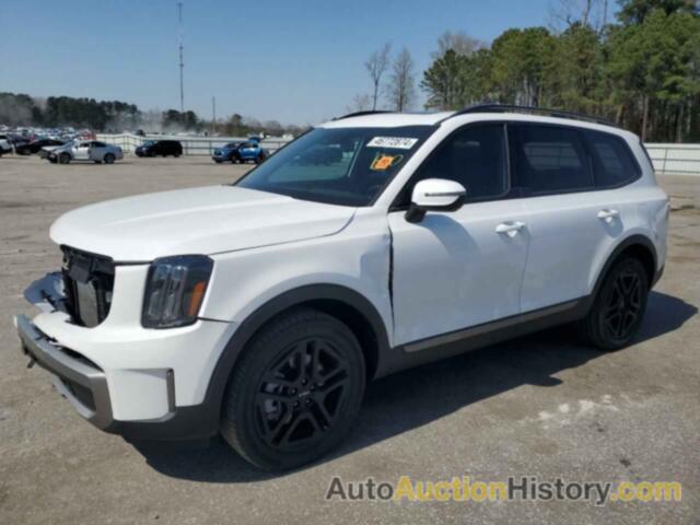 KIA TELLURIDE EX, 5XYP3DGC0PG398084