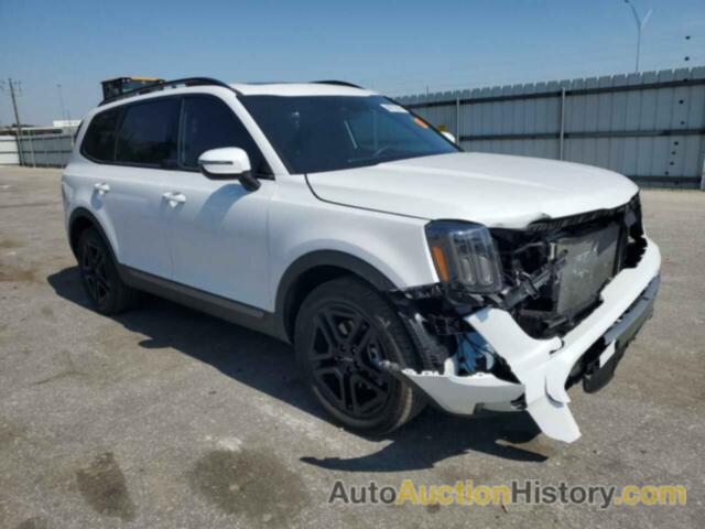 KIA TELLURIDE EX, 5XYP3DGC0PG398084