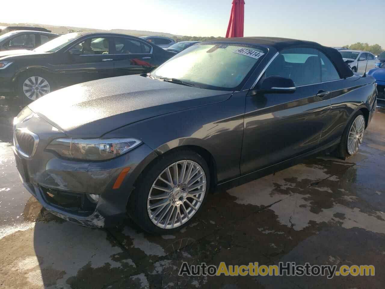 BMW 2 SERIES I, WBA1K5C55FV242911