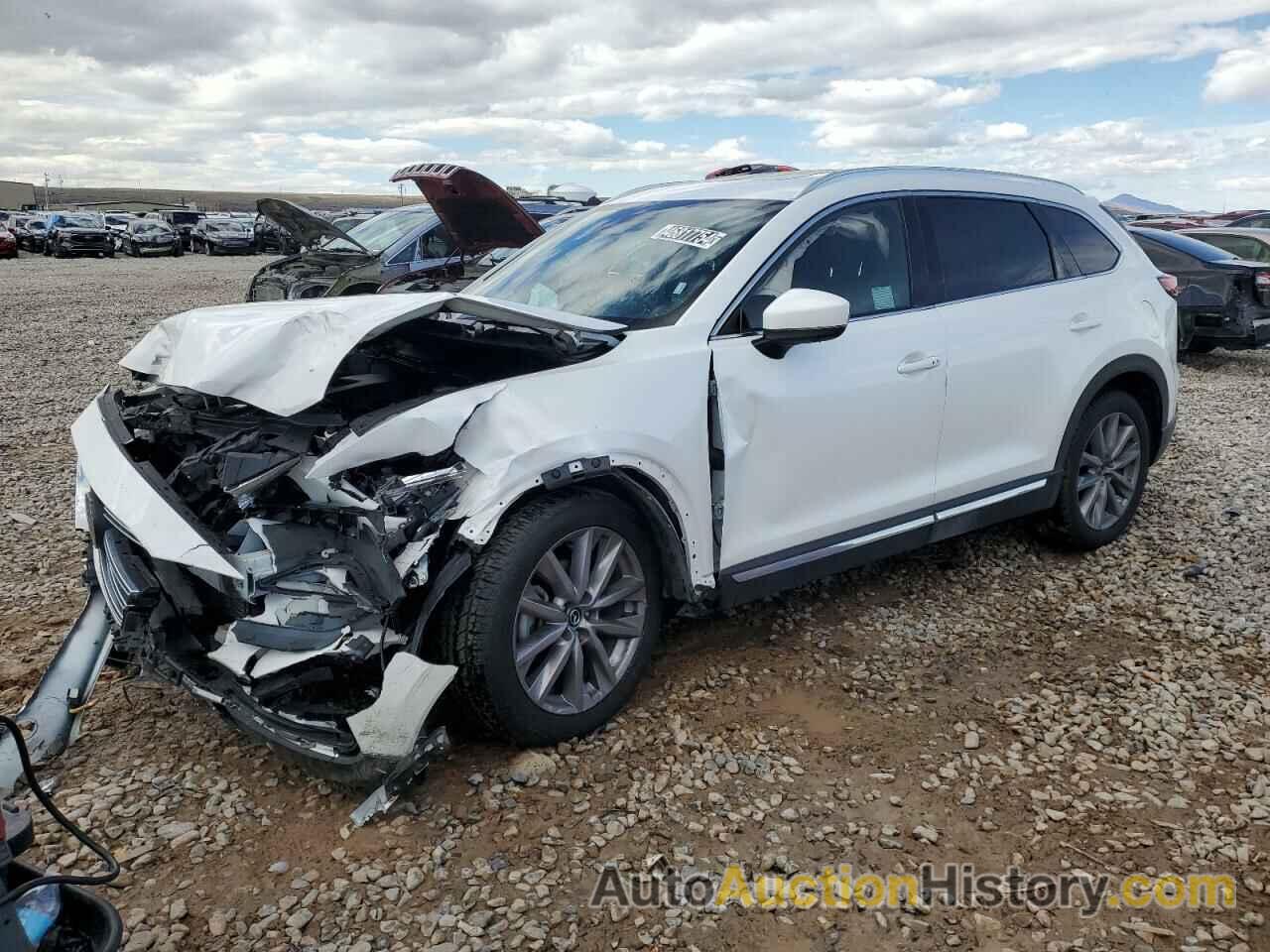 MAZDA CX-9 GRAND TOURING, JM3TCBDY9P0647837