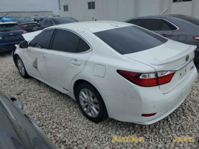 LEXUS ES300 300H, JTHBW1GG8D2026631