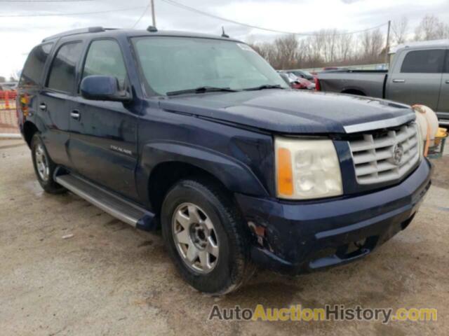 CADILLAC ESCALADE LUXURY, 1GYEC63N25R264163