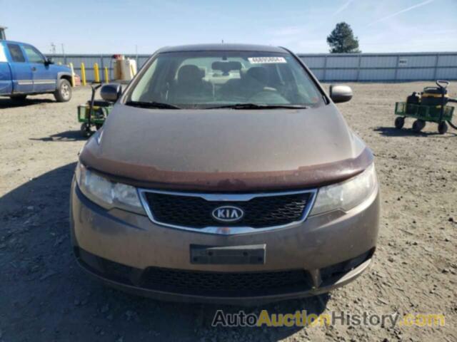 KIA FORTE EX, KNAFU4A2XD5739534