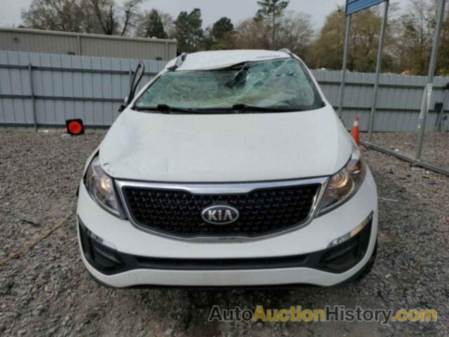 KIA SPORTAGE LX, KNDPB3ACXF7713507