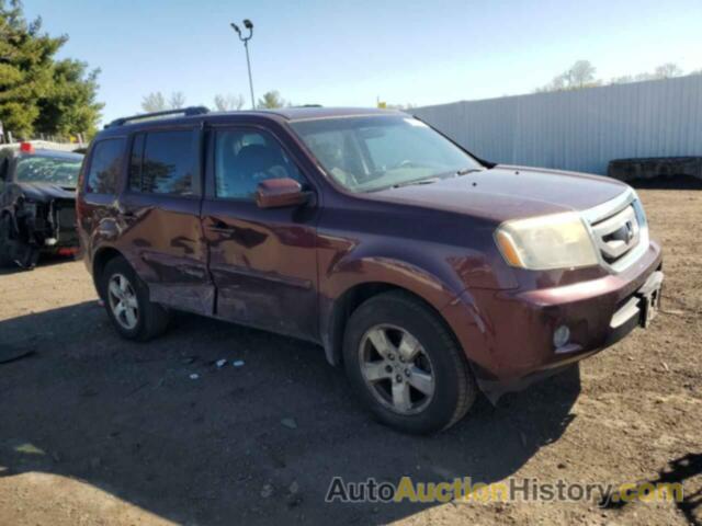 HONDA PILOT EX, 5FNYF4H44BB064840