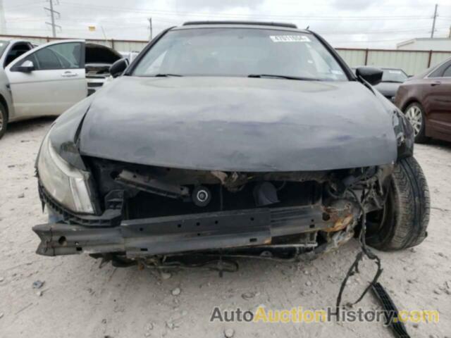 HONDA ACCORD EXL, 1HGCS1B88CA014339