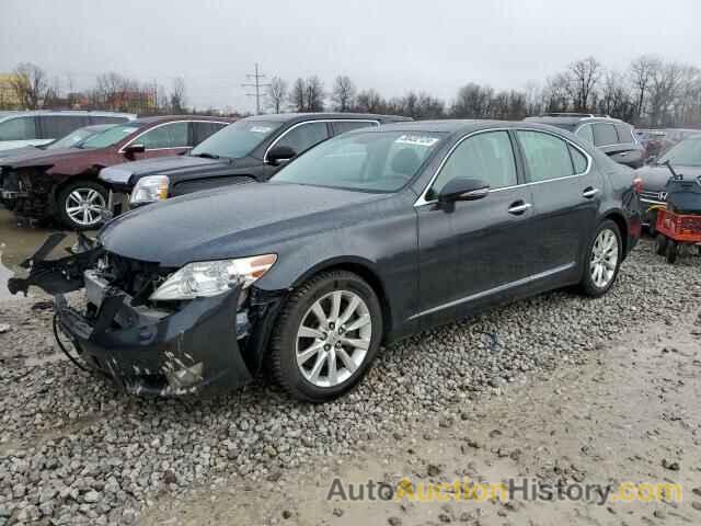 LEXUS LS460 460, JTHCL5EFXB5010814