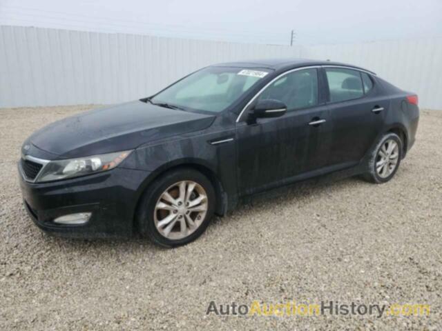 KIA OPTIMA EX, 5XXGN4A76DG120893