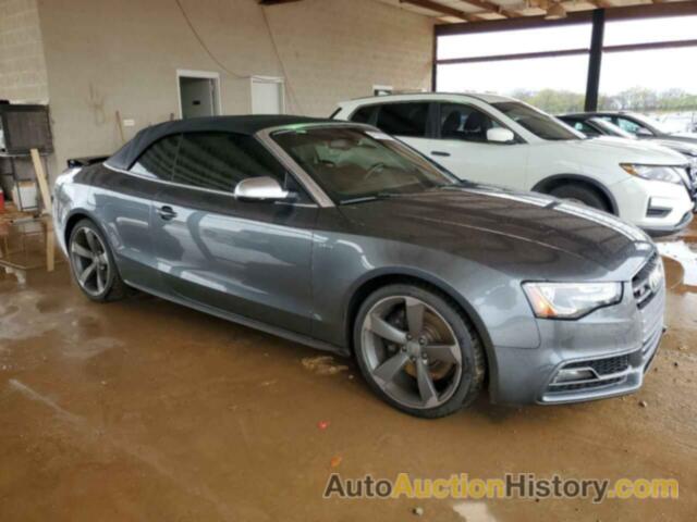 AUDI S5/RS5 PREMIUM PLUS, WAUC4AFH1GN005450