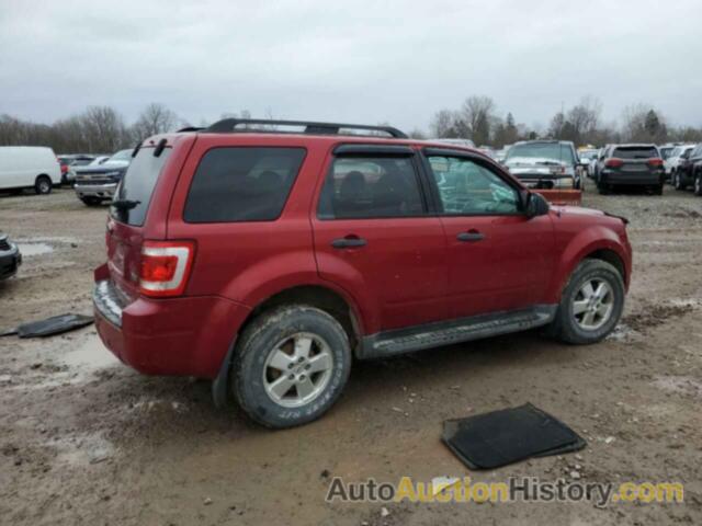 FORD ESCAPE XLT, 1FMCU9DGXBKA05724