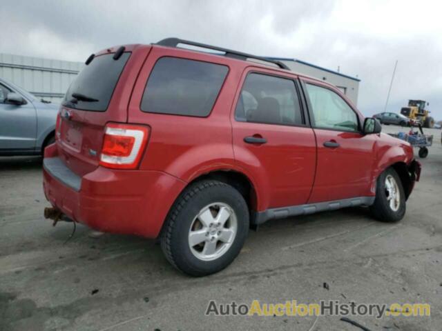 FORD ESCAPE XLT, 1FMCU0DG2BKB68976